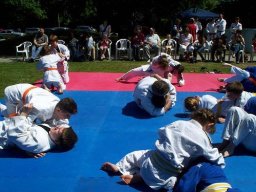 Bilder aus 2010 oder früher
